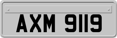 AXM9119
