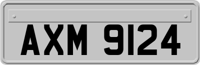 AXM9124