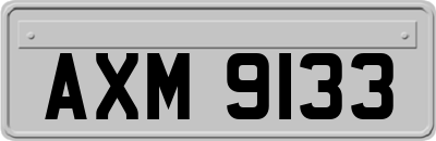 AXM9133