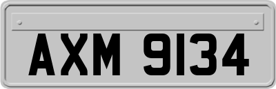 AXM9134