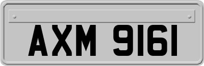 AXM9161