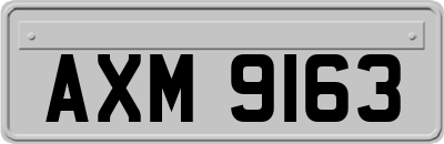 AXM9163