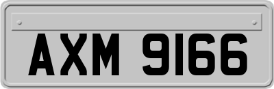 AXM9166