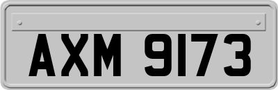 AXM9173