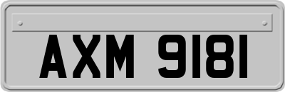AXM9181