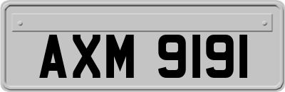 AXM9191