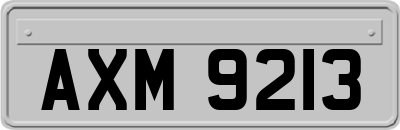 AXM9213
