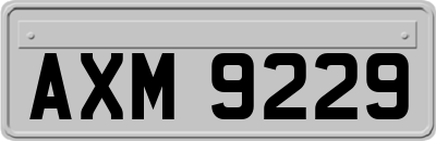 AXM9229