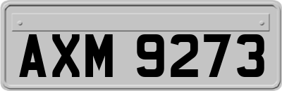 AXM9273
