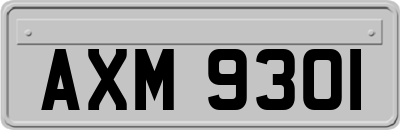 AXM9301