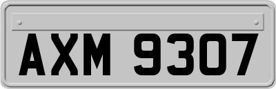 AXM9307