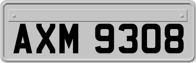 AXM9308