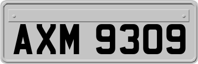 AXM9309