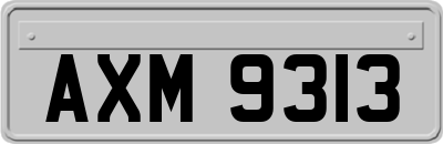 AXM9313