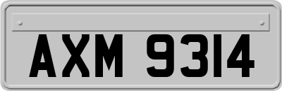 AXM9314