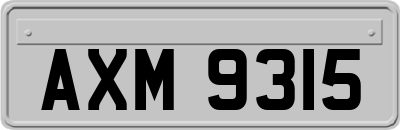 AXM9315