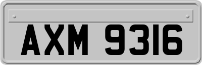 AXM9316