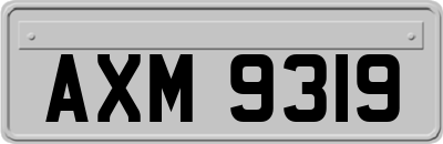 AXM9319