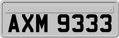 AXM9333