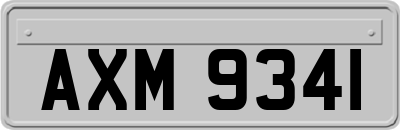 AXM9341