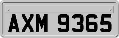 AXM9365