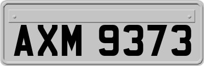 AXM9373