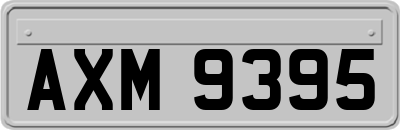 AXM9395