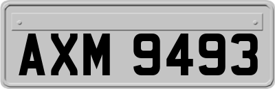 AXM9493
