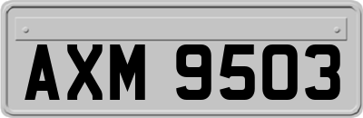 AXM9503