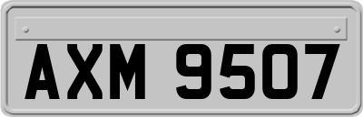 AXM9507
