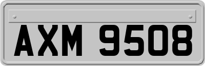 AXM9508