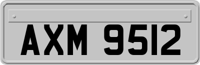 AXM9512