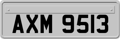 AXM9513