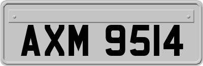 AXM9514