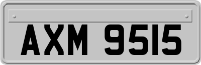 AXM9515