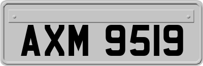 AXM9519