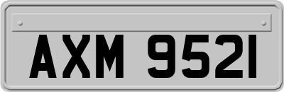 AXM9521