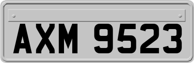 AXM9523