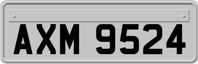 AXM9524