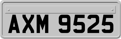 AXM9525