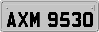 AXM9530