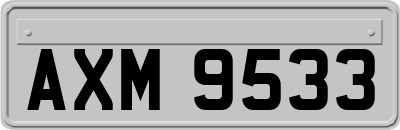 AXM9533