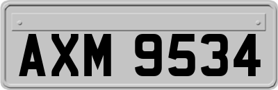 AXM9534