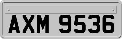 AXM9536