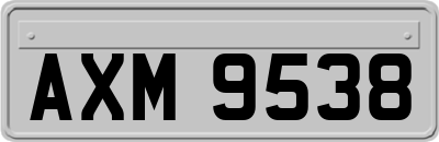 AXM9538