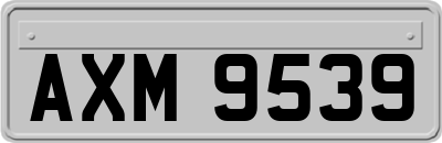 AXM9539