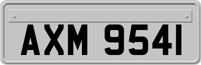 AXM9541