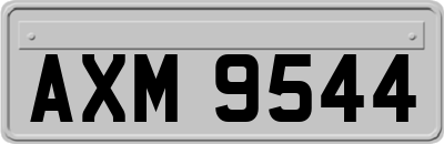 AXM9544