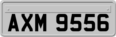 AXM9556