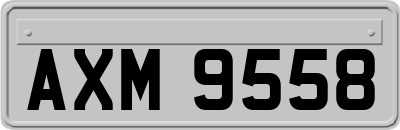 AXM9558